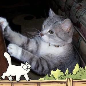 Meet your Posher, Sue